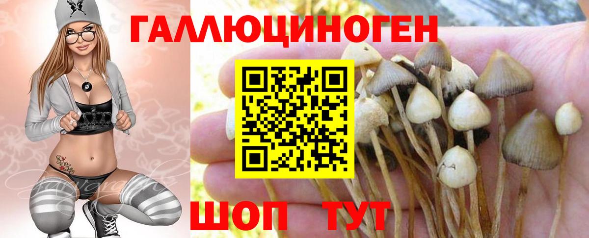 Галлюциногенные грибы GOLDEN TEACHER Изобильный